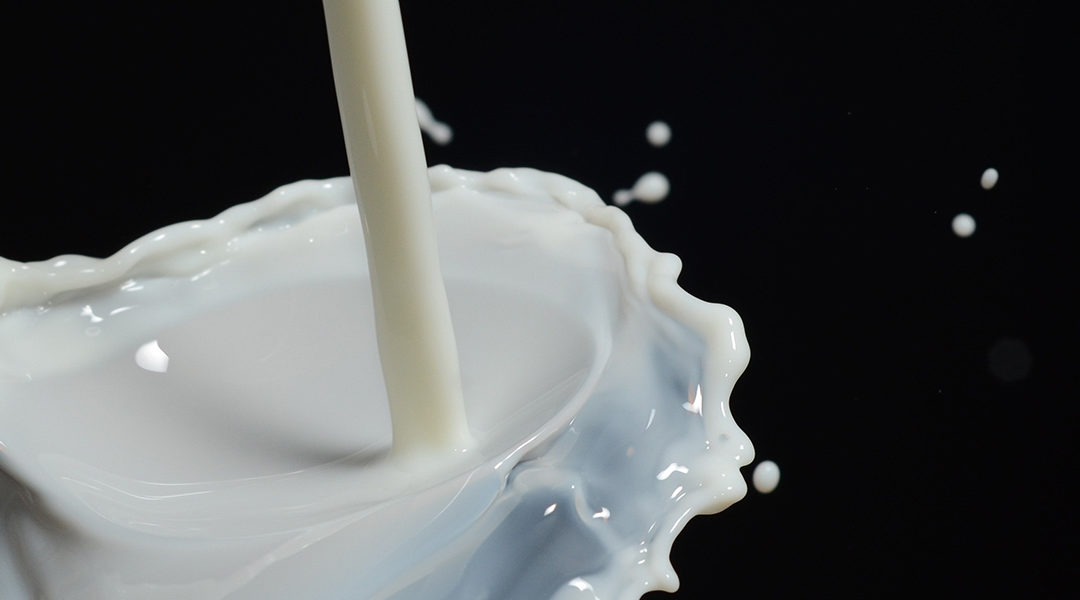 Olika sorters mjölk och dess miljöpåverkan